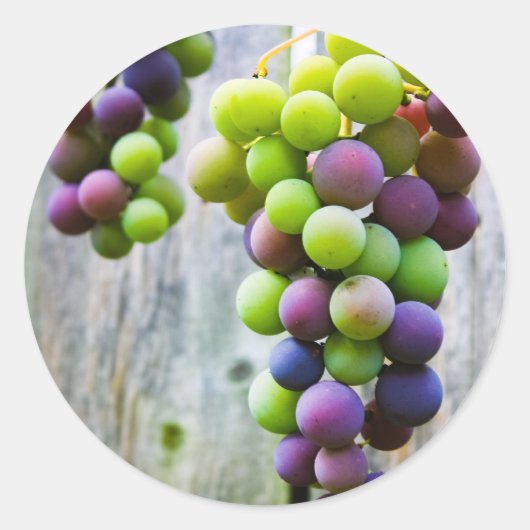 étiquette de mise en conserve de la gelée de raisi (Devant)