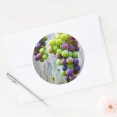 étiquette de mise en conserve de la gelée de raisi (Enveloppe)