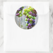 étiquette de mise en conserve de la gelée de raisi (Sac)