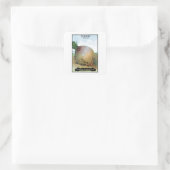 Étiquette de paquets de graines de navets (Sac)