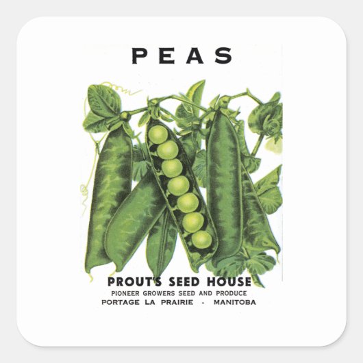 Étiquette de paquets de graines de pois (Devant)