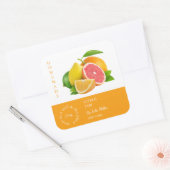 Étiquette de petites entreprises Citrus mixte (Enveloppe)