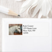 Étiquette de portrait Cheval Andalou Gris Dappy (En situation)