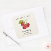 Étiquette de pot carré de confiture de framboise v (Enveloppe)