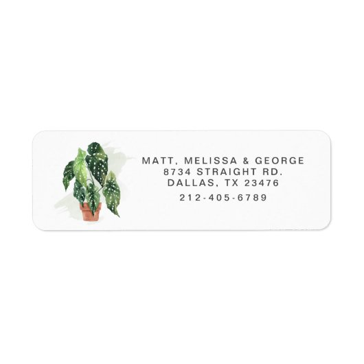 Étiquette de retour d'adresse de verdure de plante (Devant)