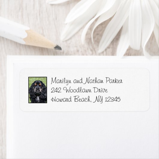 Étiquette de retour de Cocker Spaniel Dog (En situation)