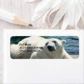 Étiquette de retour de l'ours polaire arctique (En situation)