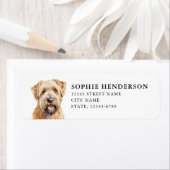 Étiquette de retour de Terrier roux à revêtement d (En situation)