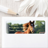 Étiquette de retour du Cheval de Châtaignes à mâch (En situation)