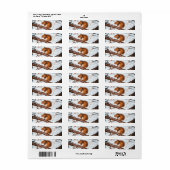 Étiquette de retour Écureuil roux (Feuille entière)