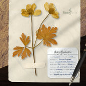 Étiquette de spécimen d'herbier botanique vintage