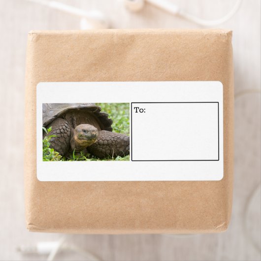 Étiquette de tortue géante (En situation)