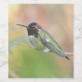 Étiquette de vin de colibri (Étiquettes simples)