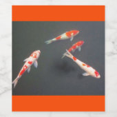 étiquette de vin de poisson rouge (Étiquettes simples)