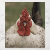 Étiquette de vin de poulet (Étiquettes simples)