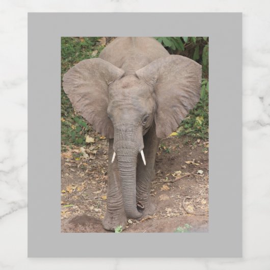 Étiquette de vin éléphant (Étiquettes simples)