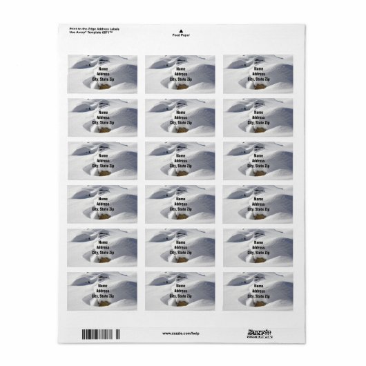 Étiquette Déclenchement De Neige Sur Les Rochers (Feuille entière)