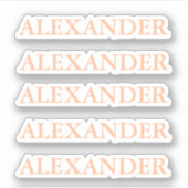 Étiquette découpée avec autocollants de nom (Devant)