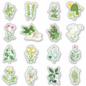 Étiquette d'ensemble Herbes (Devant)