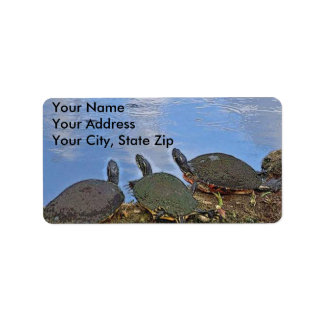 Étiquette d'envoi de tortue