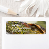 Étiquette d'envoi d'identification de tortue (En situation)