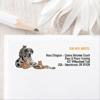 Étiquette Déplacement d'un chat Great Dane