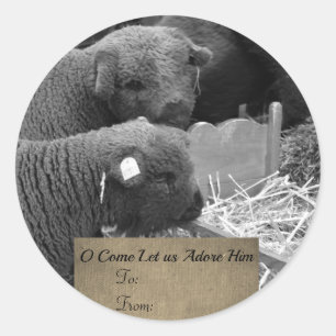 Étiquette des agneaux de Noël