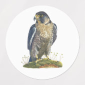 Étiquette des beaux-arts (Design 2)