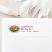 Étiquette des éléments coordonnés de champignons r (En situation)