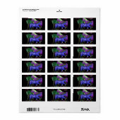 Étiquette Design de cheval de couleur fantastique, dos noir (Feuille entière)