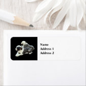 Étiquette Deux berchiens (En situation)