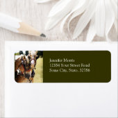 Étiquette Deux Chevaux Belges (En situation)