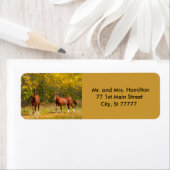 Étiquette Deux Chevaux de châtaignes d'automne (En situation)