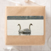 Étiquette Deux cygnes (En situation)