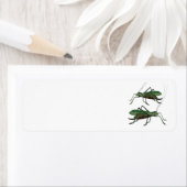Étiquette Deux sauterelles vertes / Katydids (En situation)