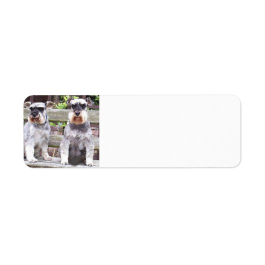 Étiquette Deux_schnauzers_miniatures (Devant)