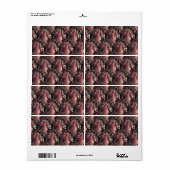 Étiquette Dex (Feuille entière)