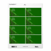 Étiquette d'expédition Arrière - plan fragile vert (Feuille entière)