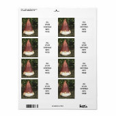 étiquette D'EXPÉDITION "CACHAGE DE GNOME" (Feuille entière)