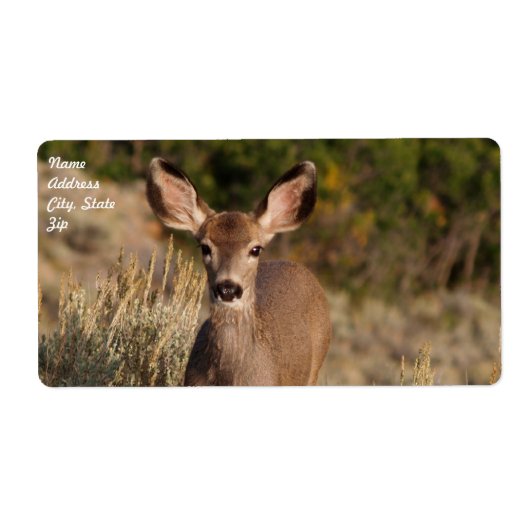 Étiquette d'expédition de cerfs (Devant)