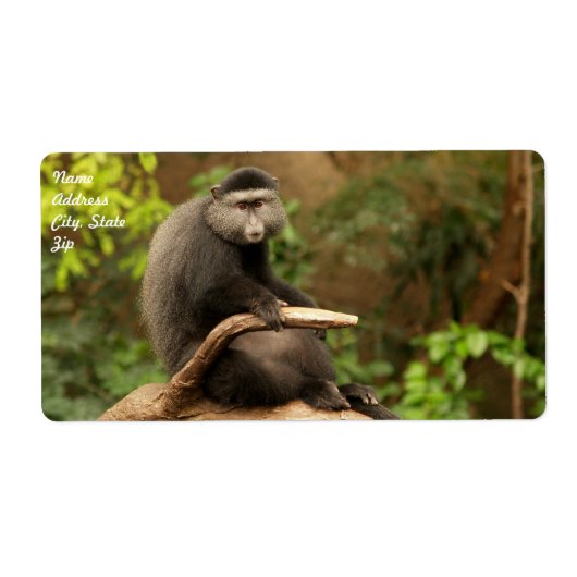 Étiquette d'expédition de singe (Devant)