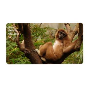 Étiquette d'expédition de singe