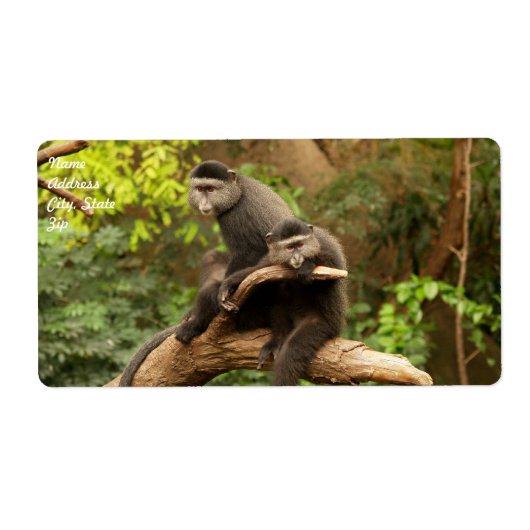 Étiquette d'expédition de singe (Devant)