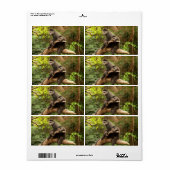 Étiquette d'expédition de singe (Feuille entière)