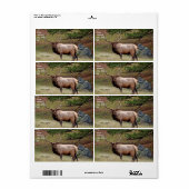 Étiquette d'expédition Elk (Feuille entière)