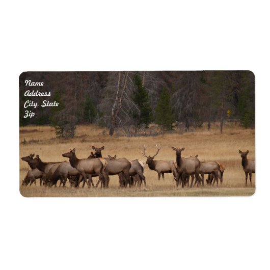 Étiquette d'expédition Elk Herd (Devant)