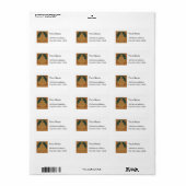 Étiquette Dharmacharkra Bouddha Mudra (Feuille entière)
