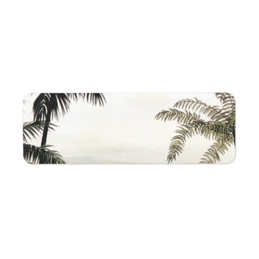 Étiquette Dinosaures Vintage, Amargasaurus avec Palmiers (Devant)