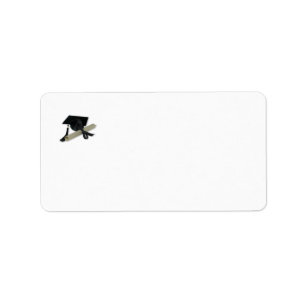 Étiquette Diplôme et casquette d'obtention du diplôme