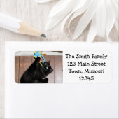 Étiquette Disco (En situation)